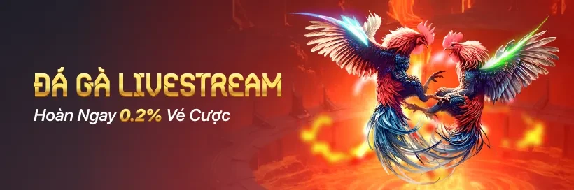 VU88 Cược Đá Gà mỗi ngày, nhận hoàn trả 0.2% không giới hạn. Vào kèo ngay!