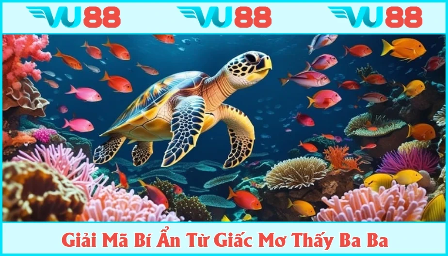 VU88 Mơ Thấy Ba Ba Báo Điềm Hung Hay Cát? Luận Ý Nghĩa Cùng Vu88