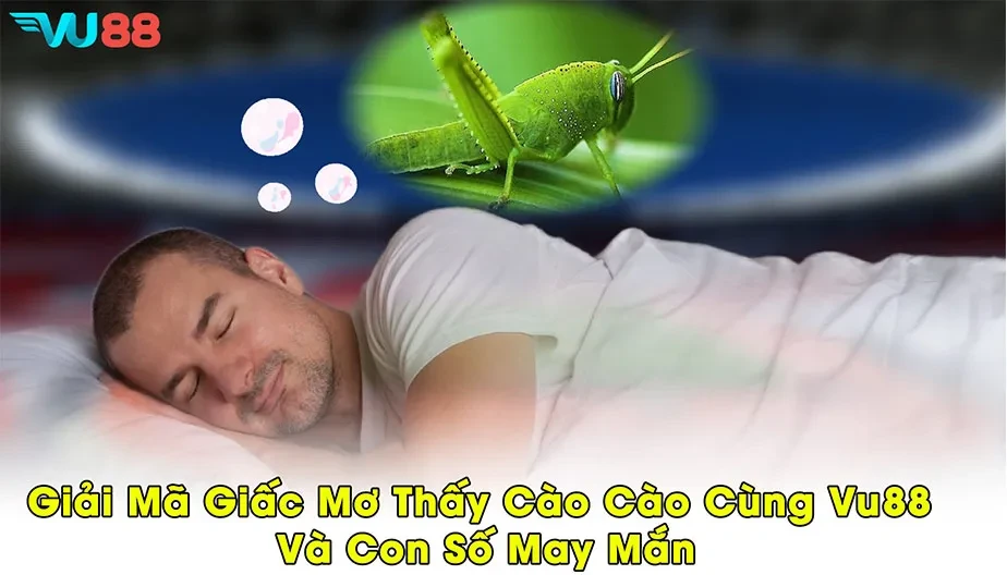 VU88 Giải Mã Giấc Mơ Thấy Cào Cào Cùng VU88 Và Con Số May Mắn