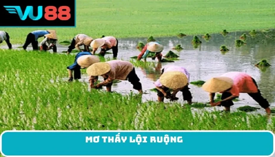 VU88 Lý Giải Giấc Mơ Thấy Lội Ruộng - Điềm Báo Và Con Số May Mắn