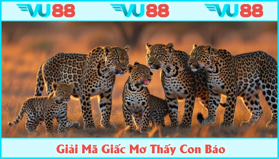 VU88 Mơ Thấy Con Báo - Những Điềm Báo Dự Triệu Và Lô Đề Đẹp