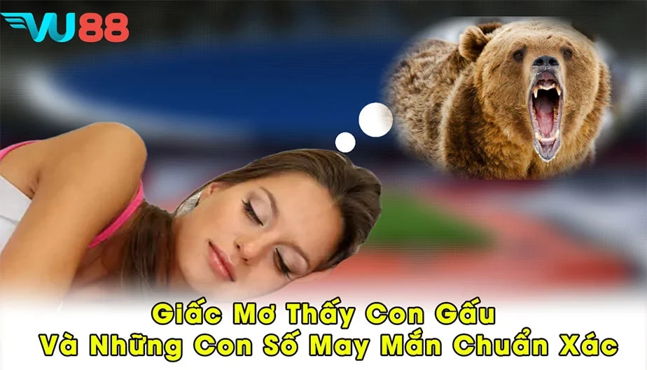 VU88 Giấc Mơ Thấy Con Gấu Và Những Con Số May Mắn Chuẩn Xác