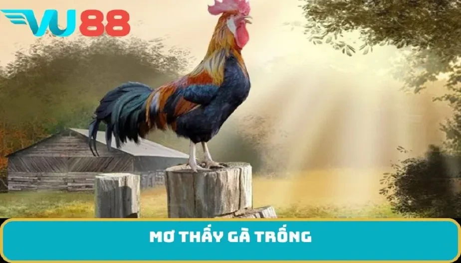 VU88 Mơ Thấy Gà Trống - Điềm Báo Và Bí Mật Tâm Linh Chưa Tiết Lộ