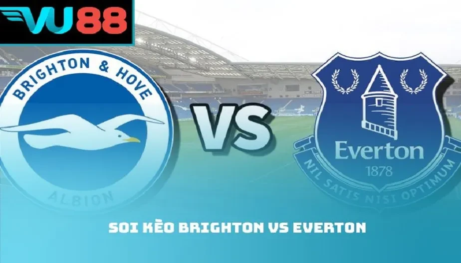 VU88 Soi Kèo Brighton Vs Everton – Trận Đấu 22:00 Ngày 31/01/2026