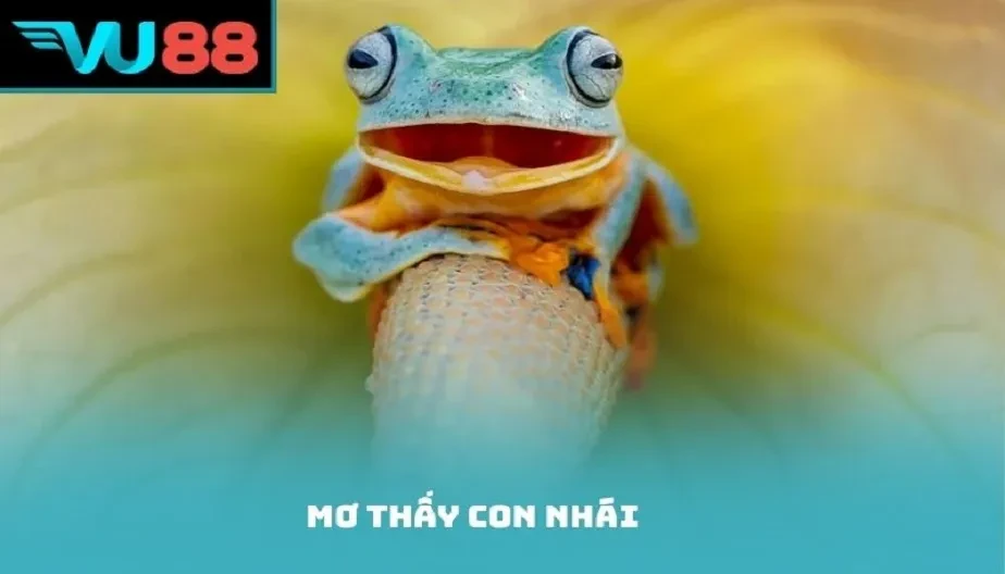 VU88 Mơ Thấy Con Nhái - Giải Mã Điềm Báo Cùng Con Số May Mắn
