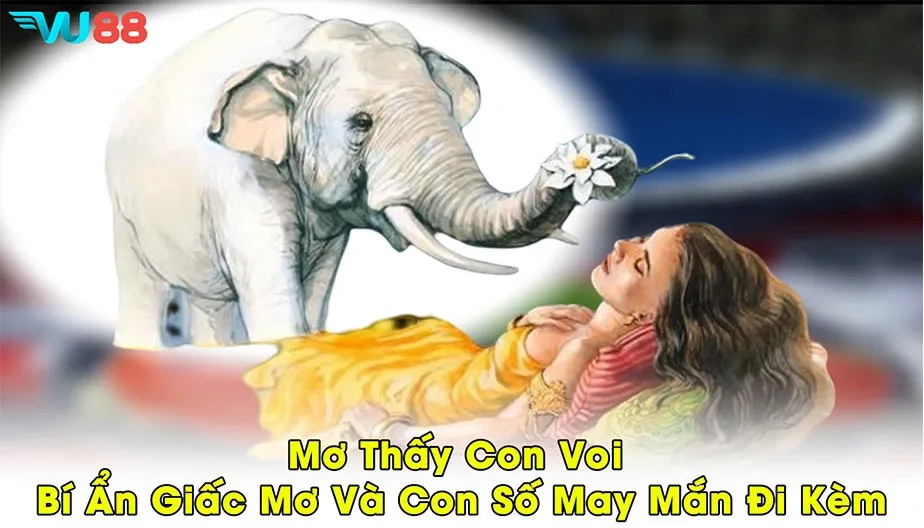 VU88 Mơ Thấy Con Voi - Bí Ẩn Giấc Mơ Và Con Số May Mắn Đi Kèm