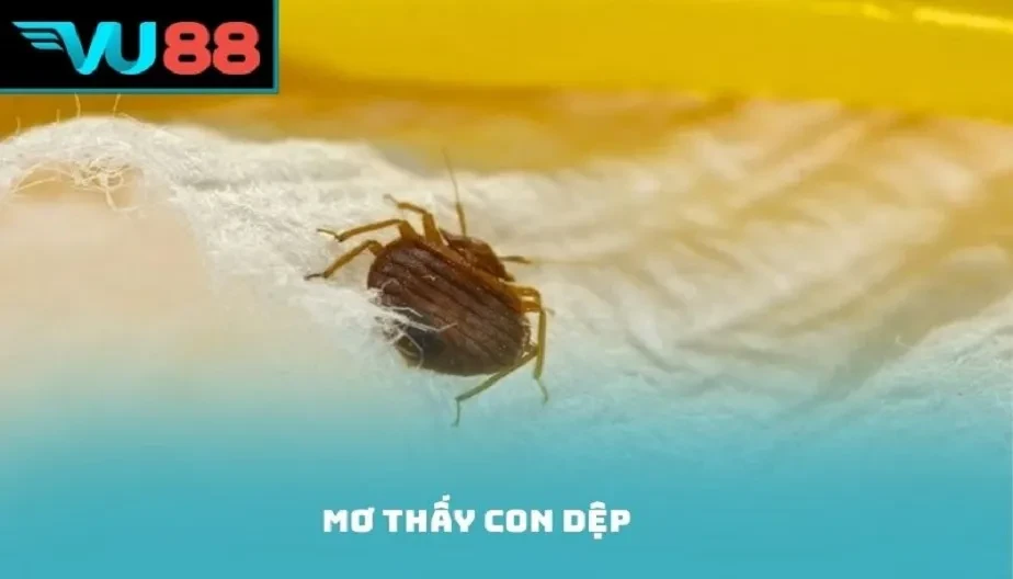 VU88 Mơ Thấy Con Dệp Điềm Gì? Giải Mã Tâm Linh Và Con Số May Mắn