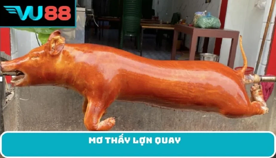 VU88 Mơ Thấy Lợn Quay – Điềm Báo & Con Số May Mắn Từ Giấc Mơ