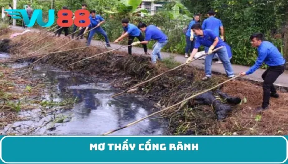 VU88 Mơ Thấy Cống Rãnh – Điềm Báo Bí Ẩn Và Những Con Số May Mắn