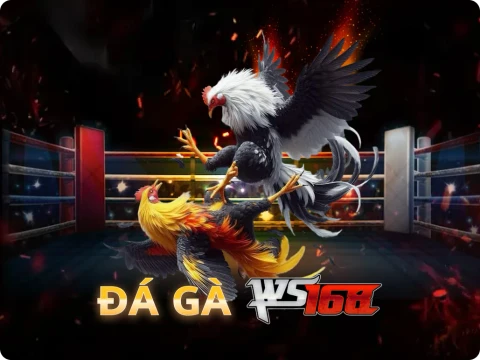 VU88  Đá Gà Livestream